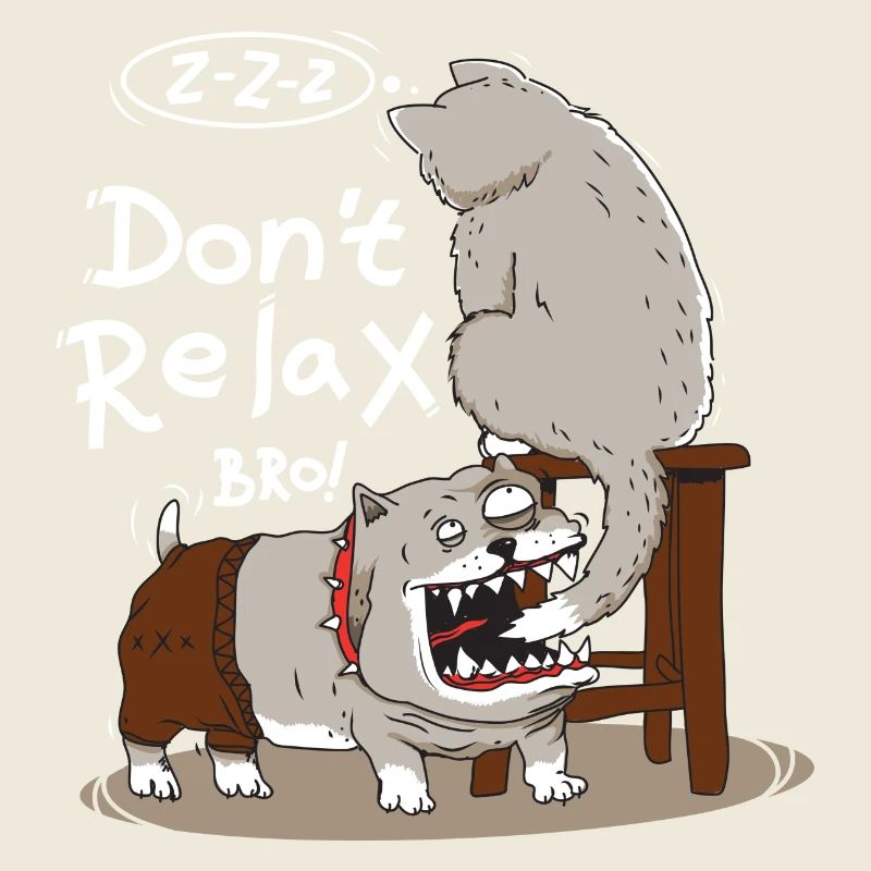 Chien agace chat endormi