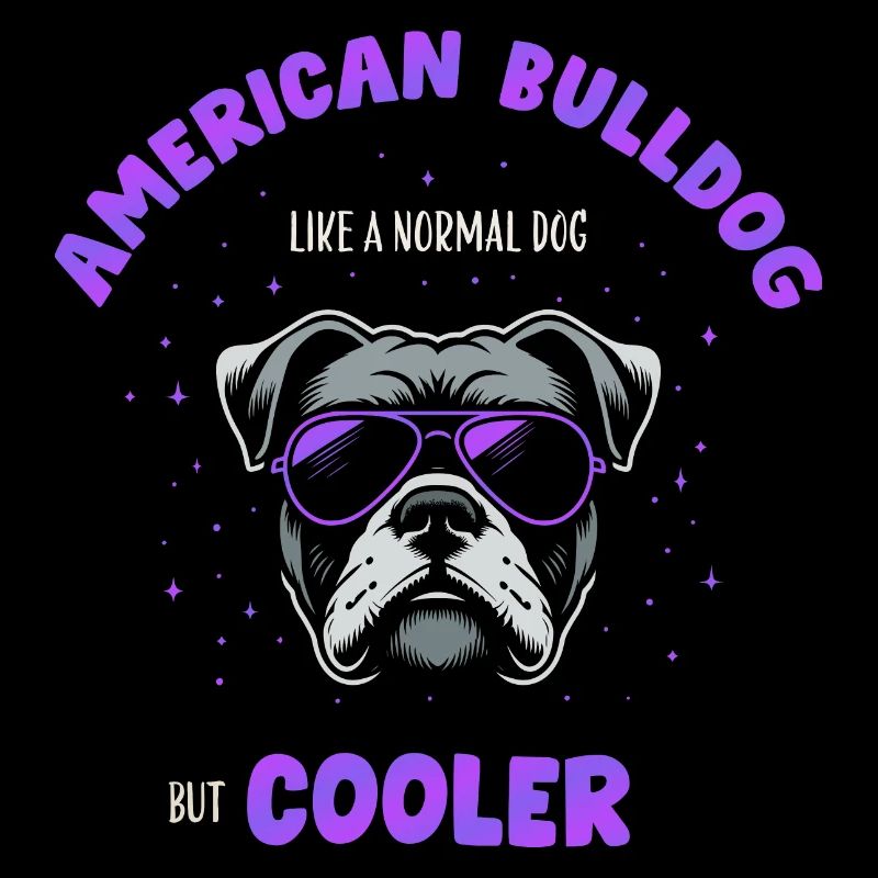 Bouledogue américain chien normal mais plus frais - violet