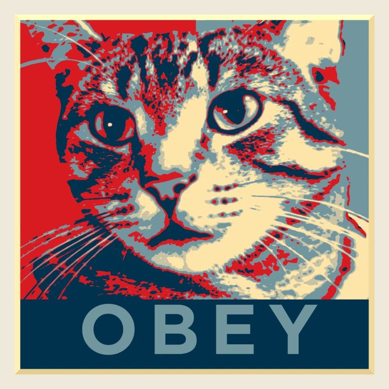 Obéissez le chat!