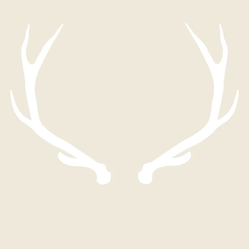 Hirsch - Hirschgeweih