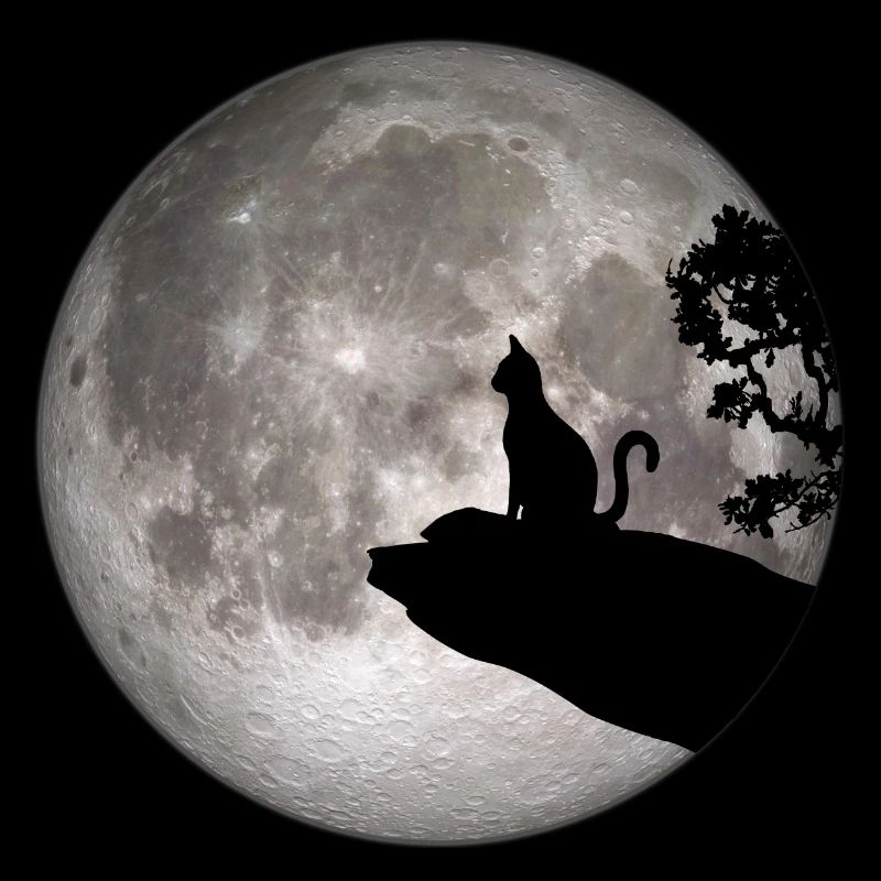 Full moon cat werewolf howling cat pet