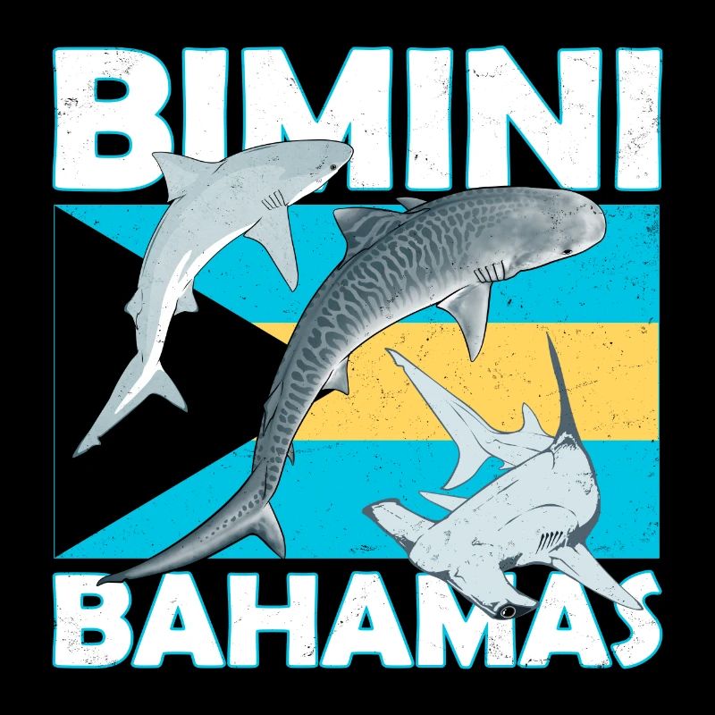Bimini Bahamas Flagge