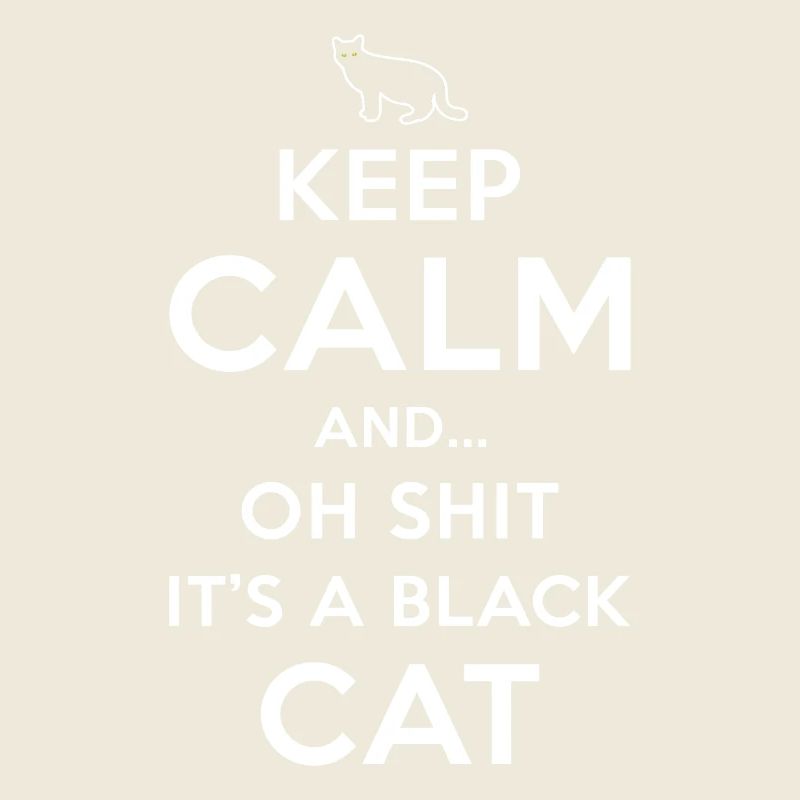 Superstition Chat Noir