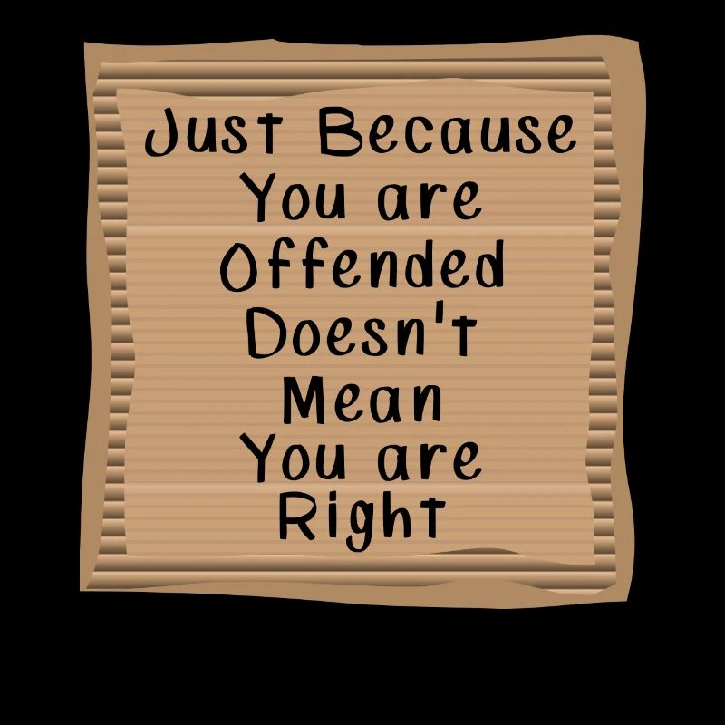 Just Because your are Offended you are not right