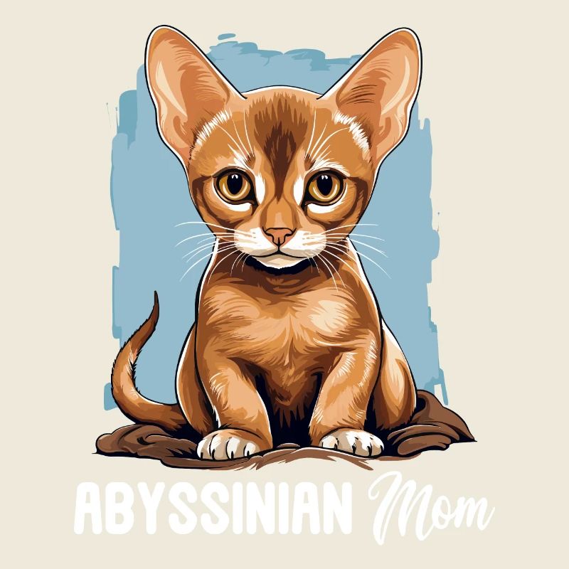 Abyssinian Cat Abessinierkatze