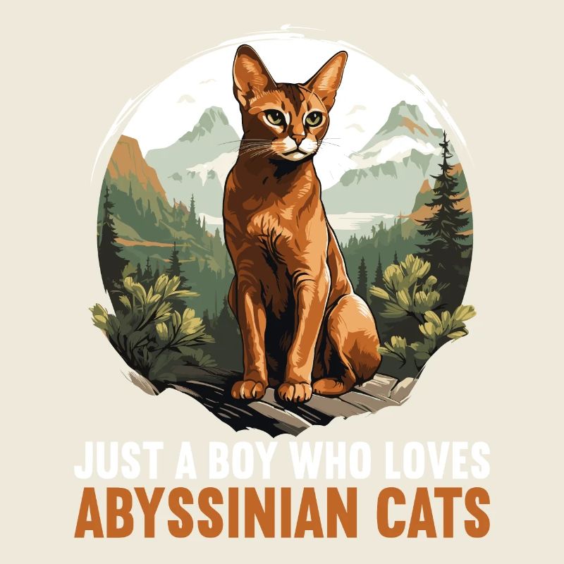Abyssinian Cat Abessinierkatze