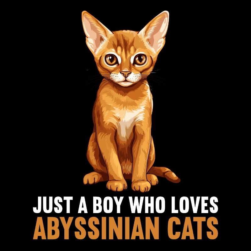 Abyssinian Cat Abessinierkatze