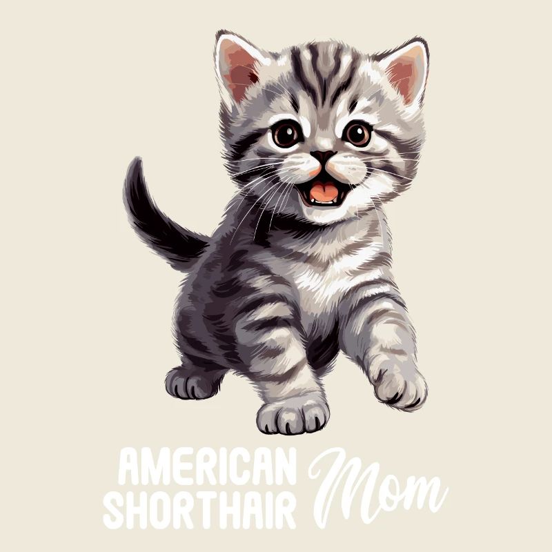 Cat Cats American Shorthair