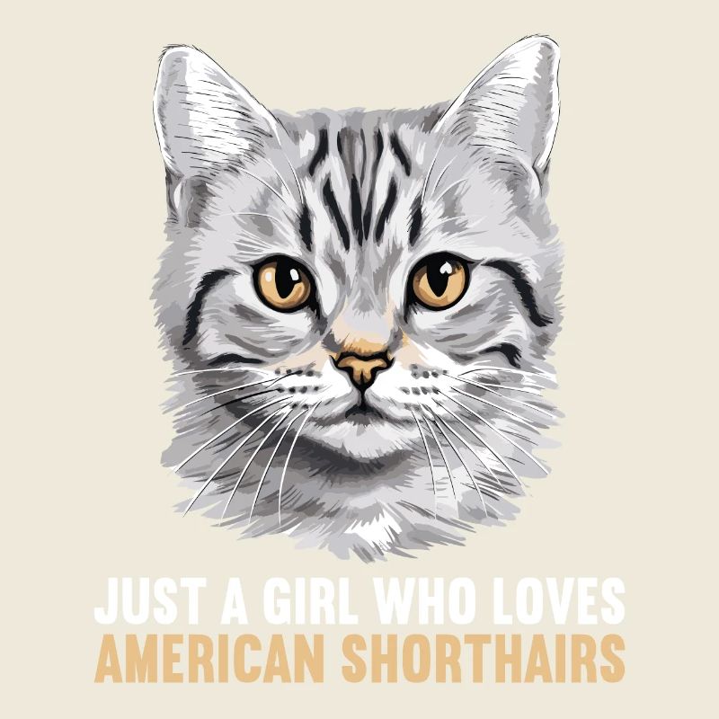 Cat Katzen American Shorthair