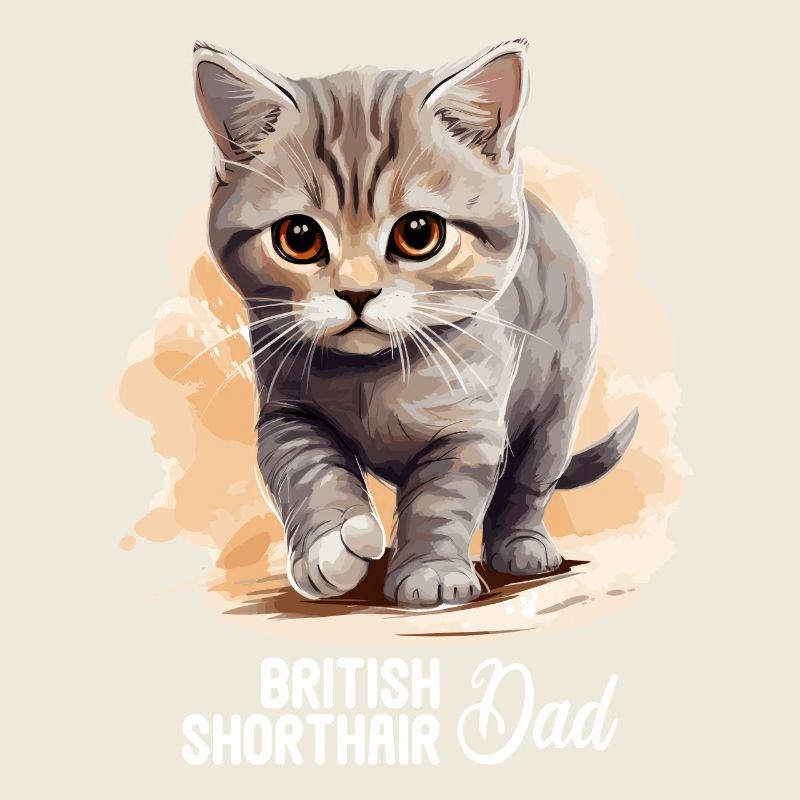 Chat Chats British Shorthair British Shorthair