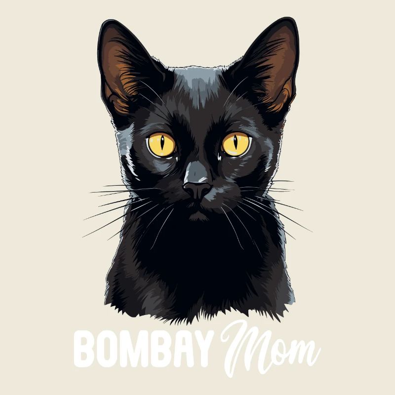 Chat de Bombay Bombay Katze