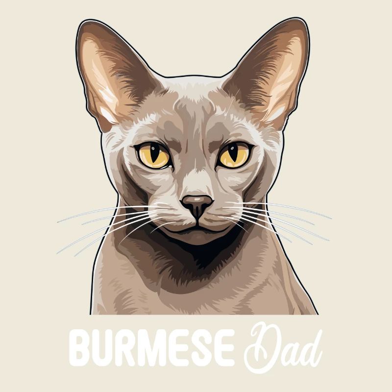 Burmese Cat Burma Katze
