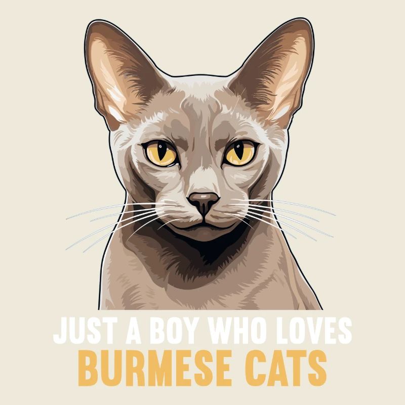 Burmese Cat Burma Katze