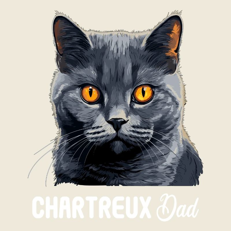 Chartreux Cat Kartäuser Katze