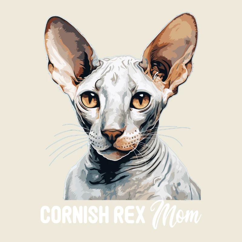 Cornish Rex Kätzchen Cornish Rex Katze