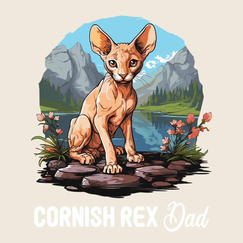 Cornish Rex Kätzchen Cornish Rex Katze