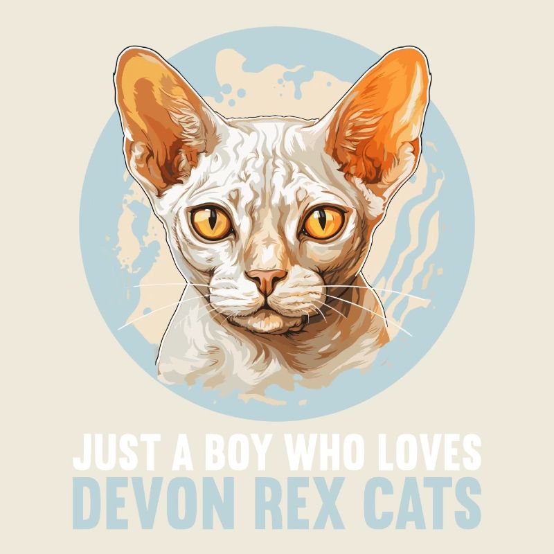 Chaton Devon Rex Chat Devon Rex