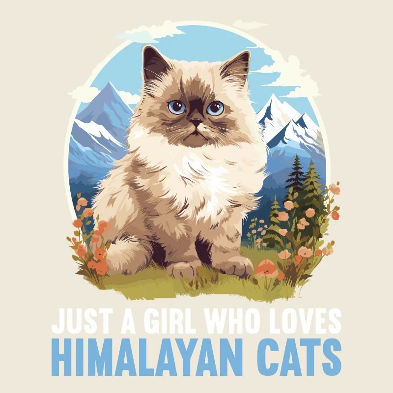 Chat de l’Himalaya Colourpoint Katze