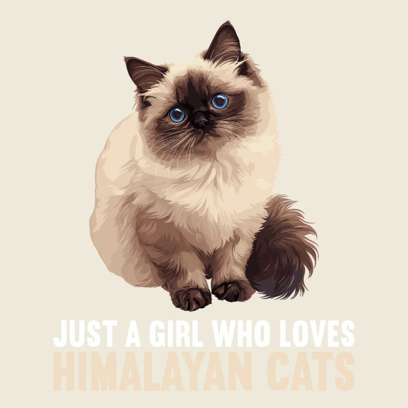 Chat de l’Himalaya Colourpoint Katze
