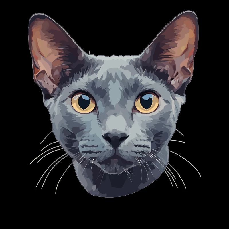 Russian Blue Cat Russisch Blau Katze