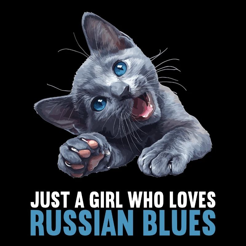 Chat bleu russe Russisch Blau Katze