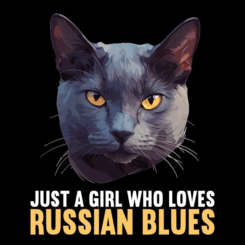 Chat bleu russe Russisch Blau Katze