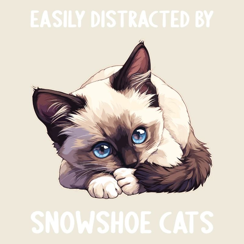 Snowshoe Kitten Snowshoe Cat
