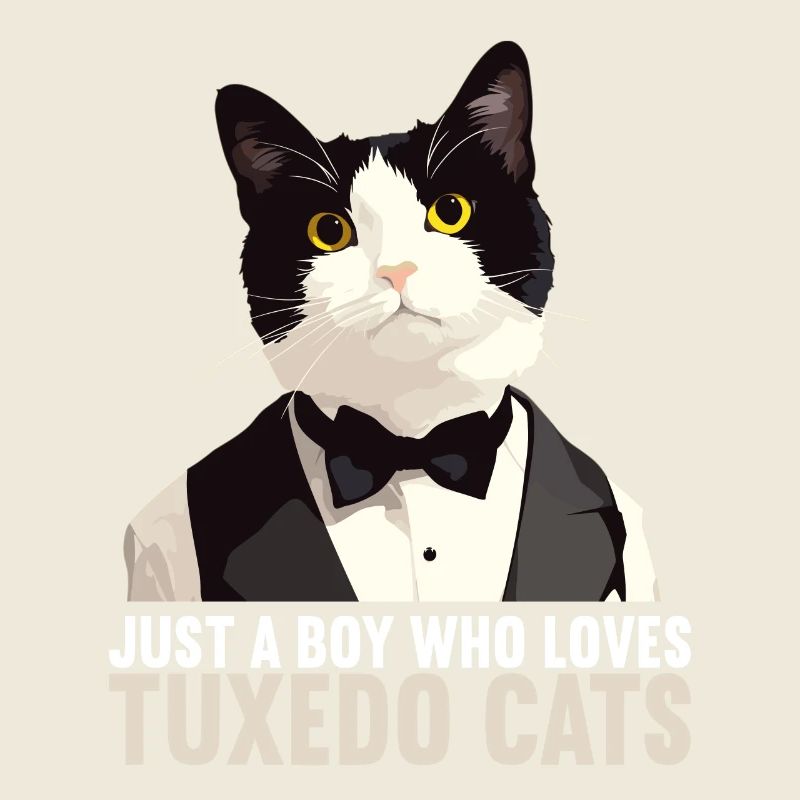 Tuxedo Kitten Tuxedo Cat