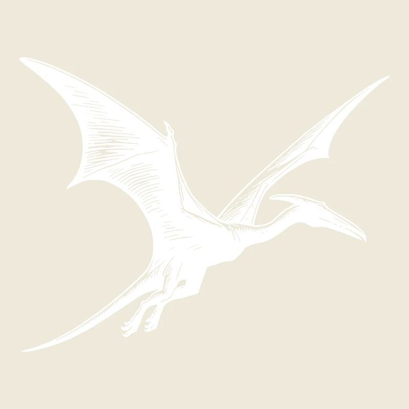 Flugsaurier Dino Pteranodon Fliegender Dinosaurier