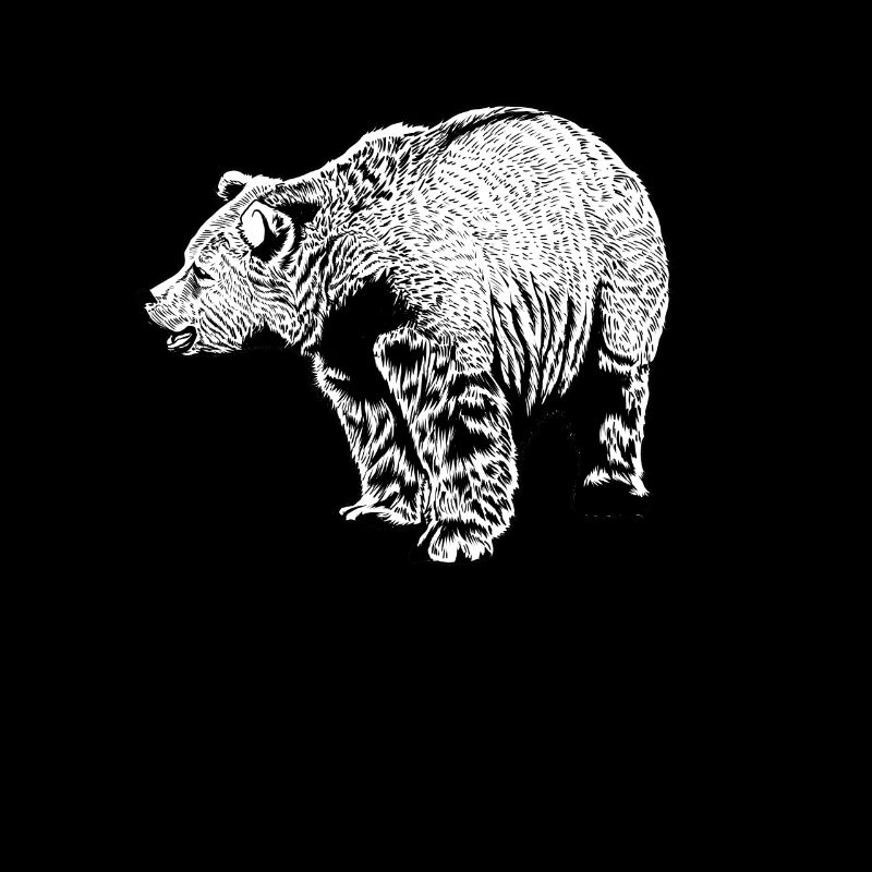 Black and White Drawing - Brown Bear