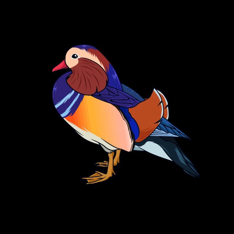 Dessin d’un canard mandarin