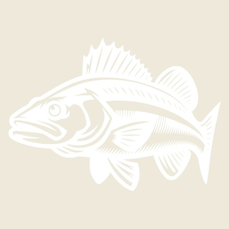 Swimming Zander Fish