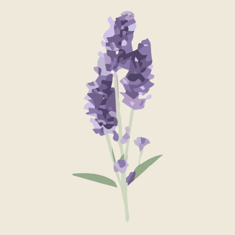 lavender