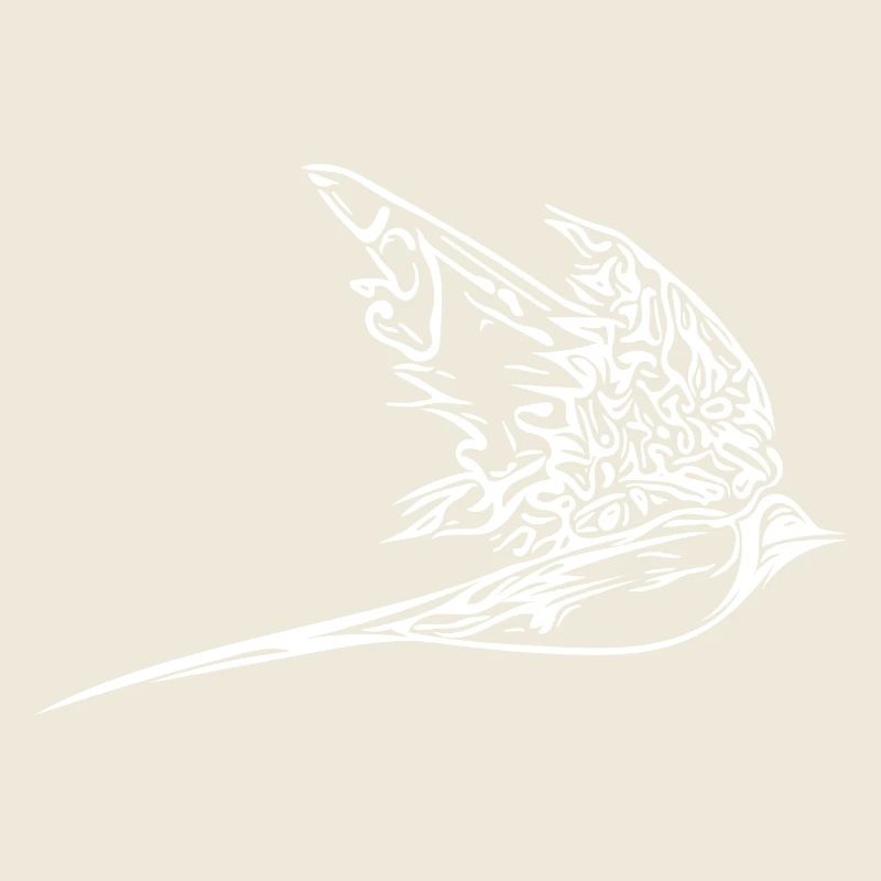 Elegant swallow in flight