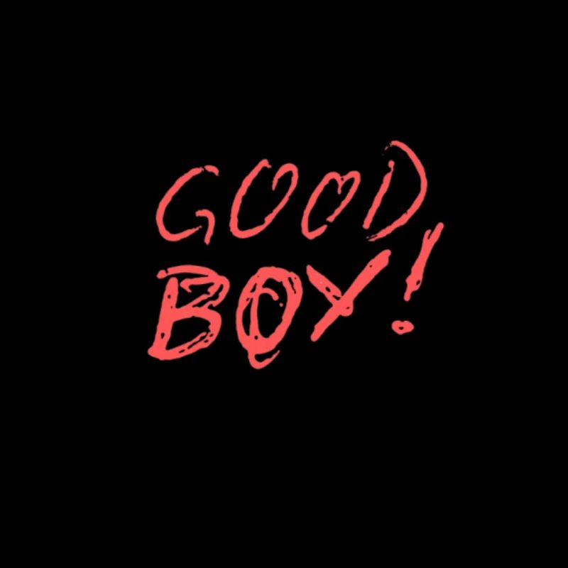 Good Boy for a Good Boy