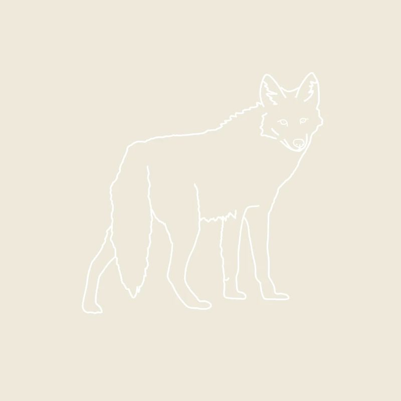 coyote
