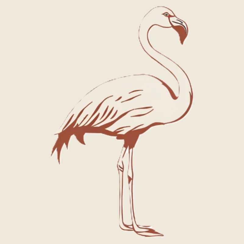 Flamingo Malerisch