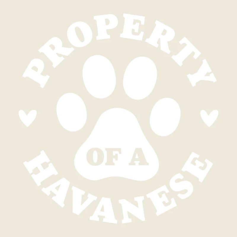 Eigentum eines Havanesers