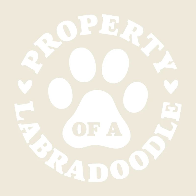 Eigentum eines Labradoodles