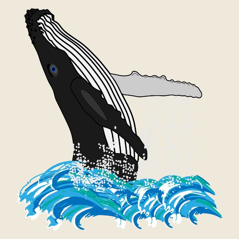 Empreinte de baleine à bosse