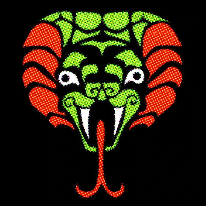 Schlange illustration magic jungle ancient style
