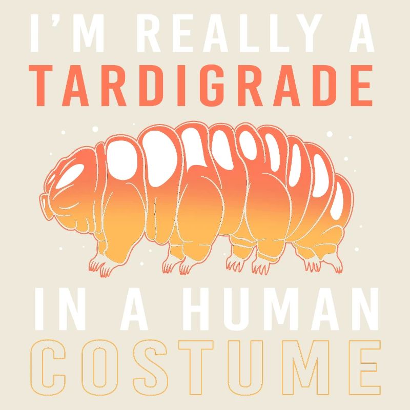 Tardigrade Tardigrade Water Bear Tardigrade