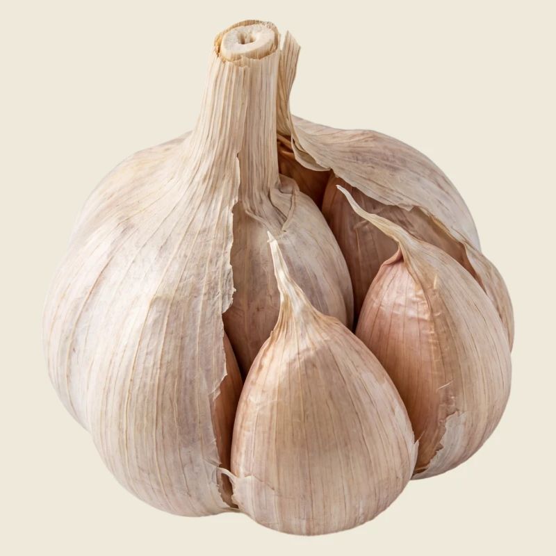 Garlic Vegan cuisine mediterranean