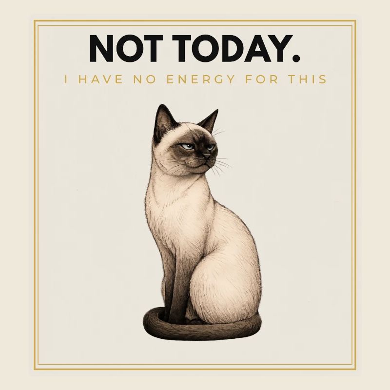 NOT TODAY. Noble Cat Introvert Meme Design