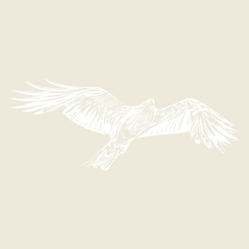 Elegant flying hawk