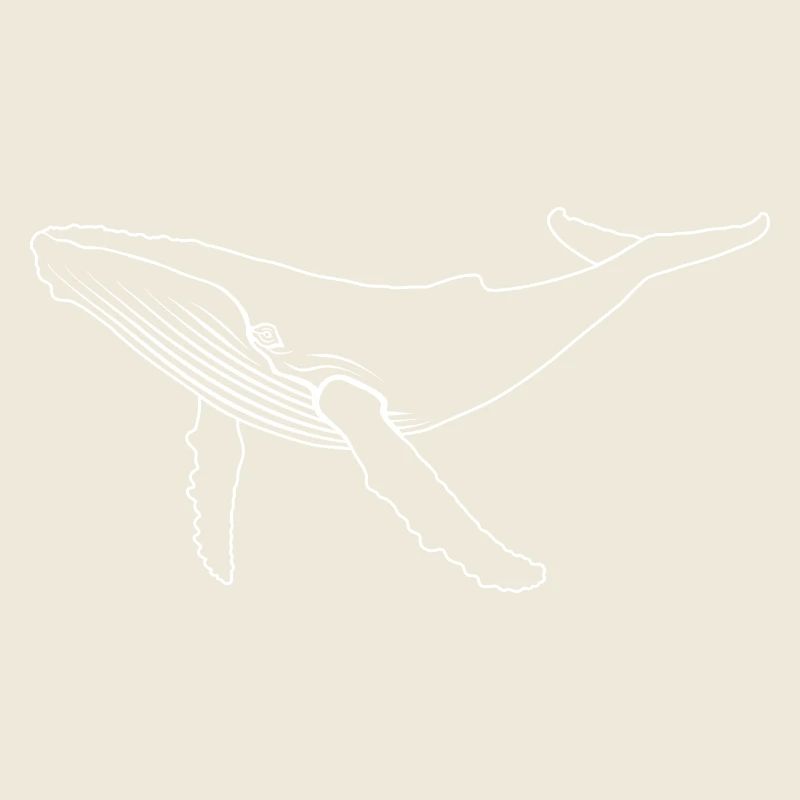 Whale - Humpback Whale - Marine Mammal - Gift