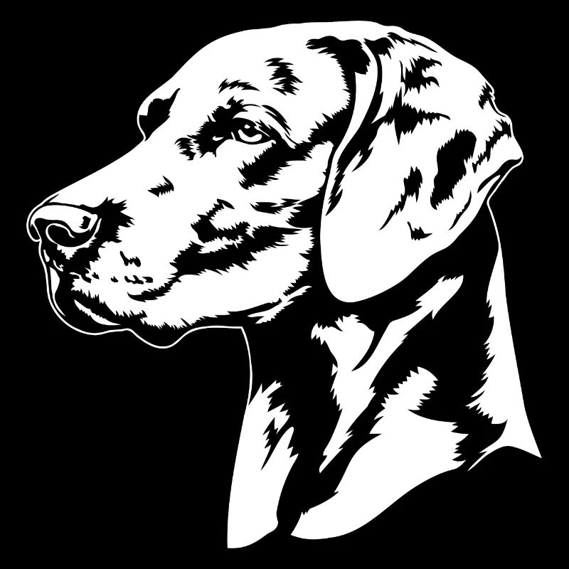 Braque de Weimar Portrait Chiens Chien Chiens De Chasse Wilsigns