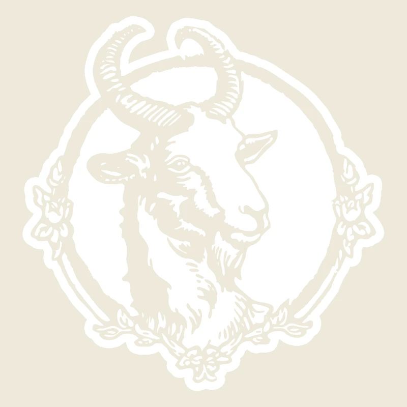 Steinbock Ziege