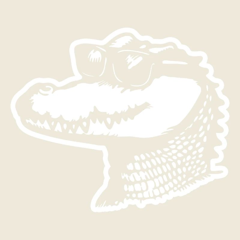 Crocodile Alligator