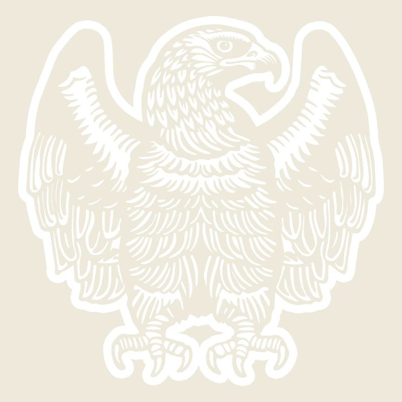 Eagle Eagle Head